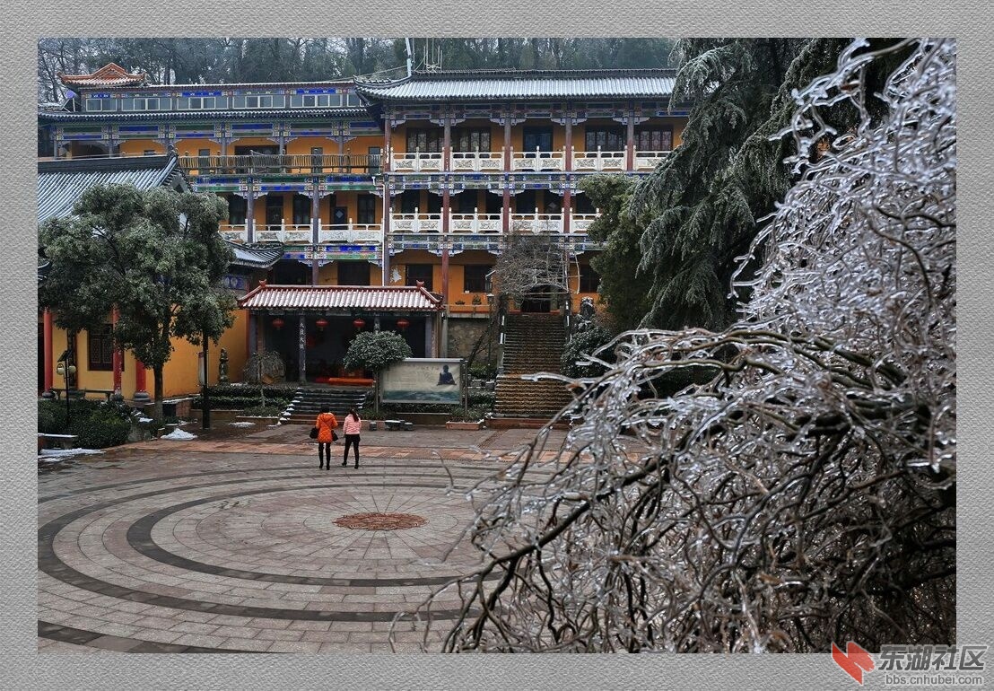 QQ图片20150203082940.jpg