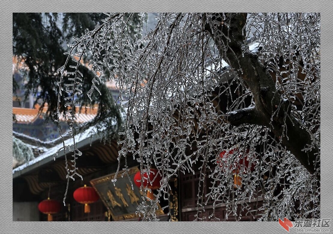QQ图片20150203082945.jpg