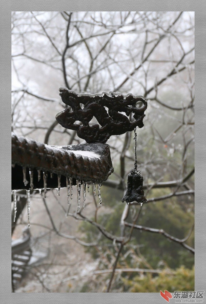 QQ图片20150203083000.jpg
