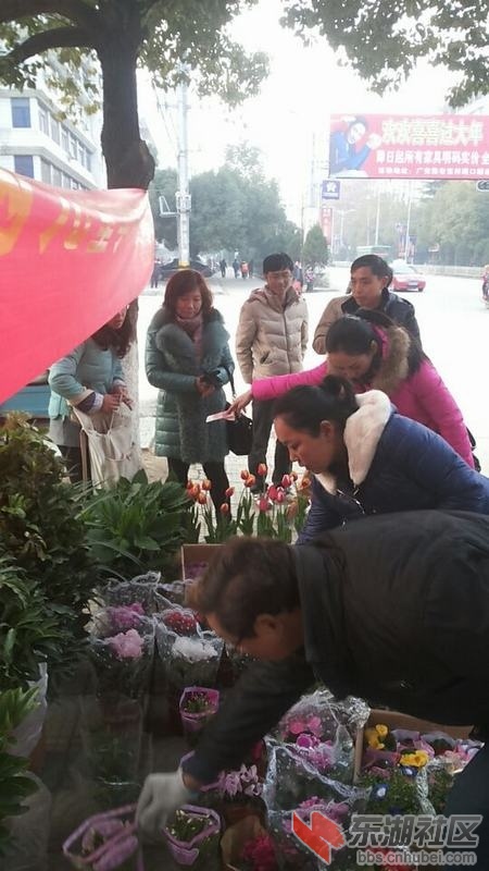 QQ图片20150203202230.jpg
