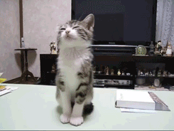 QQ图片20150204011551.gif