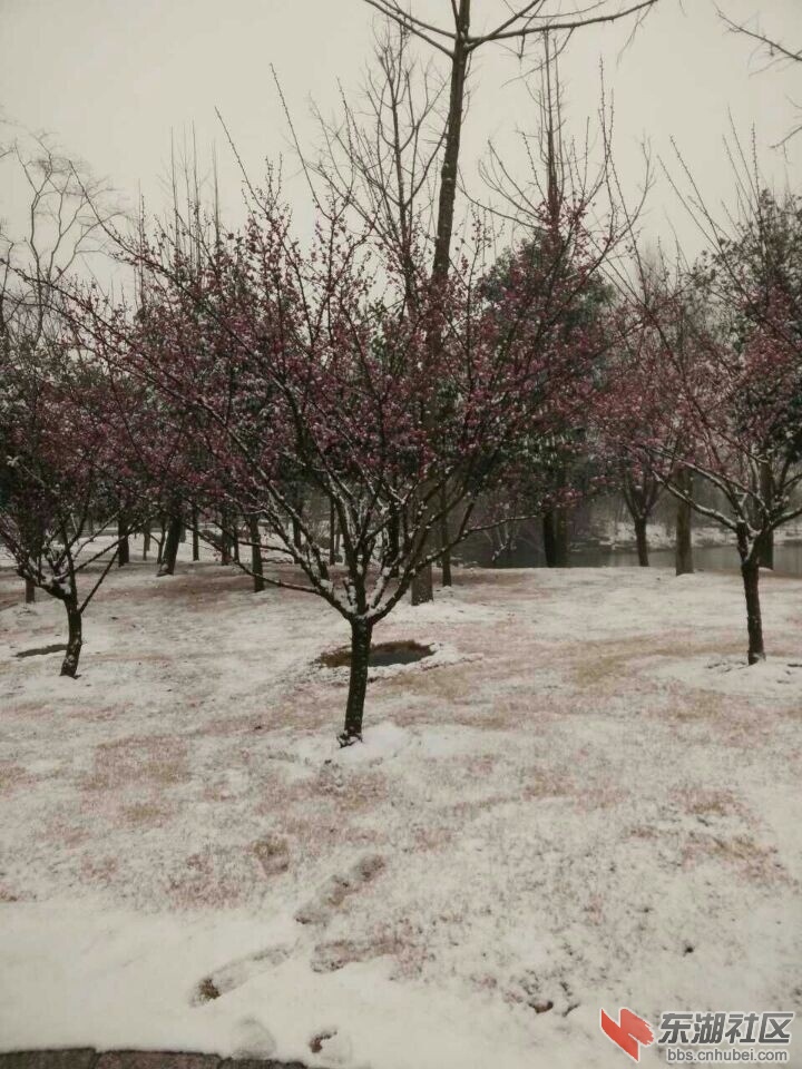 QQ图片20150204110359.jpg