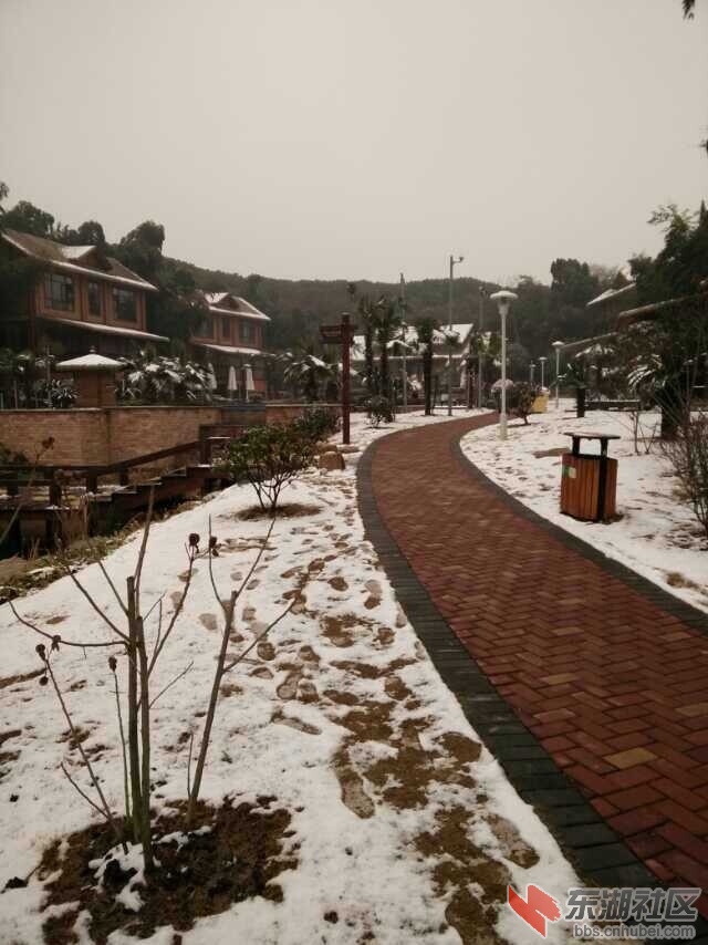 QQ图片20150204110352.jpg
