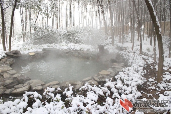 IMG_3733_副本.jpg
