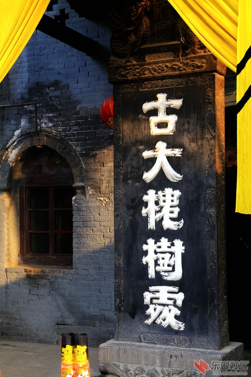IMG_3116_副本.jpg