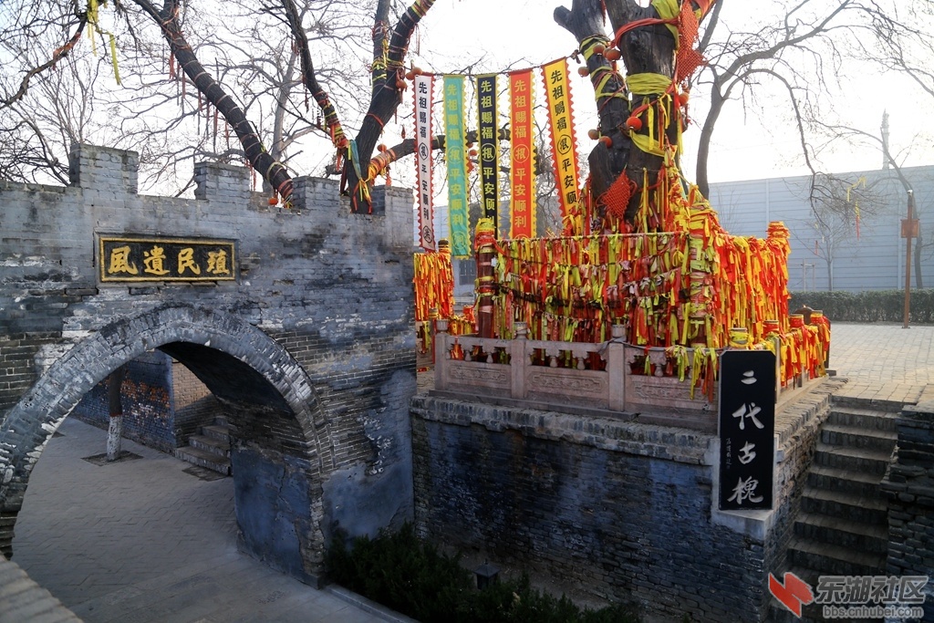 IMG_3103_副本.jpg