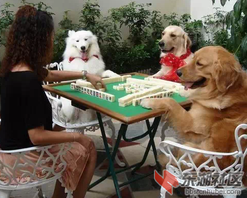 QQ截图20150204150353.png