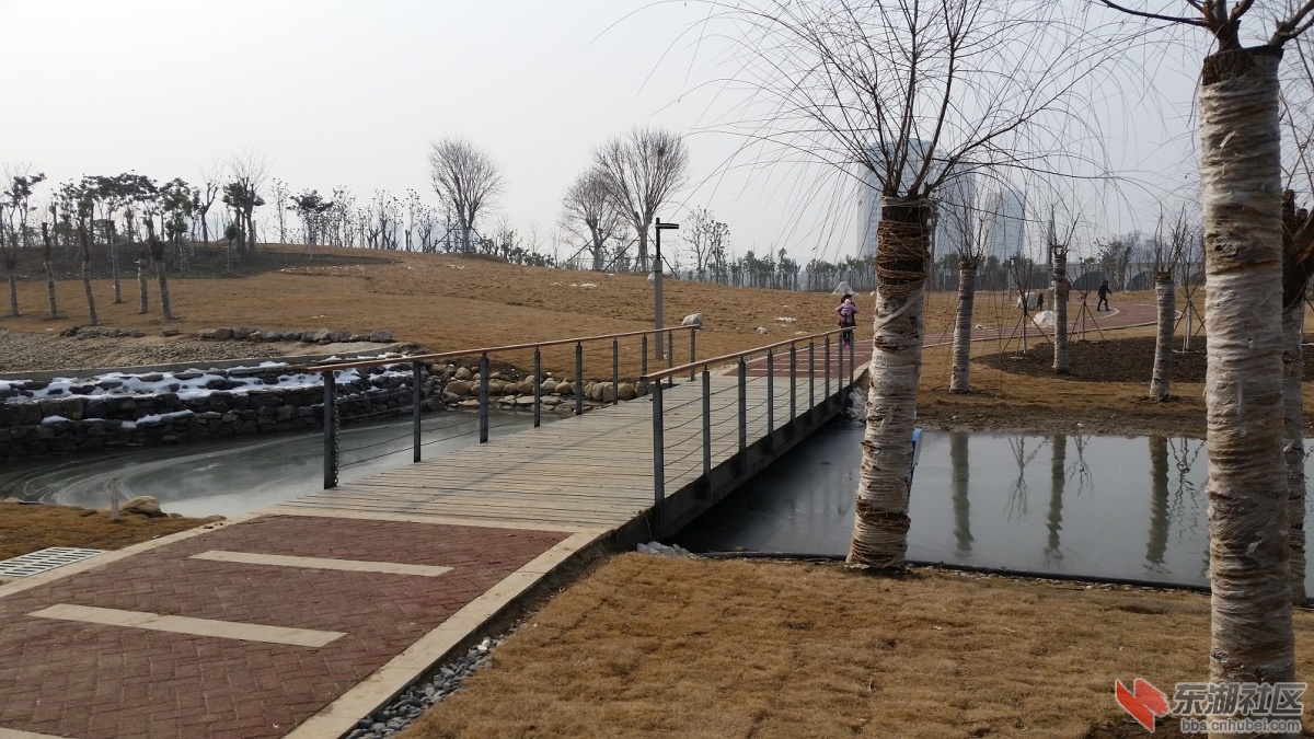 20150204_124522.jpg