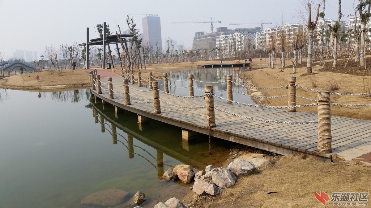 20150204_130613.jpg