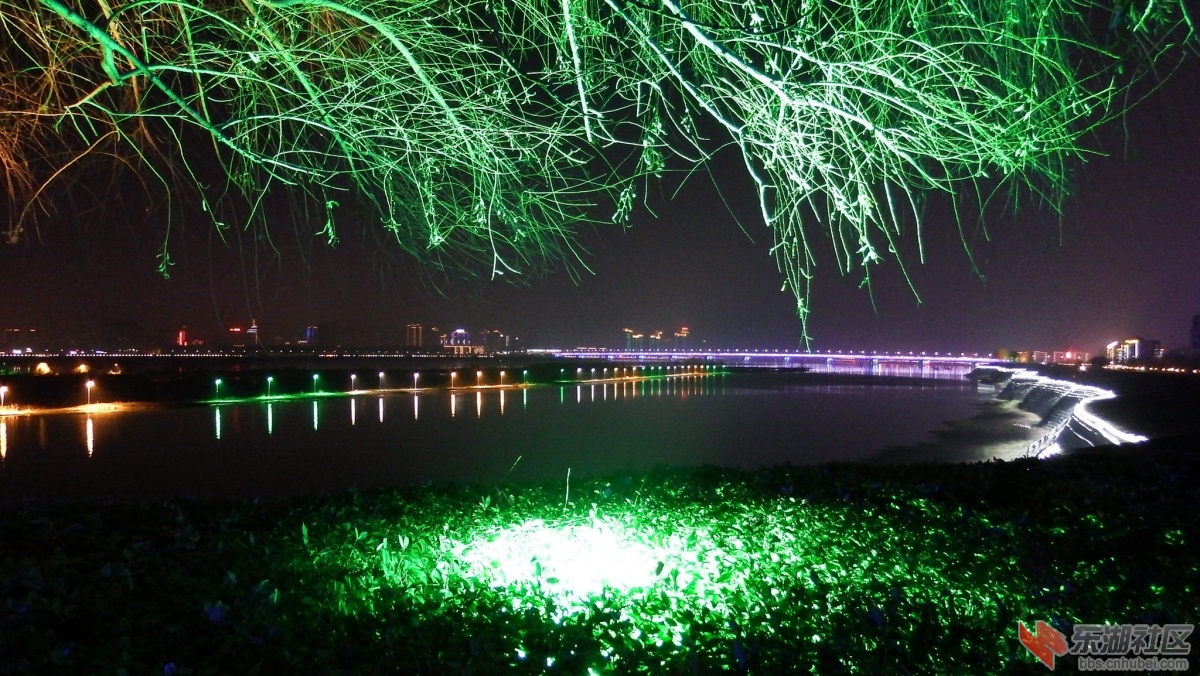 DSCF0762_副本.jpg