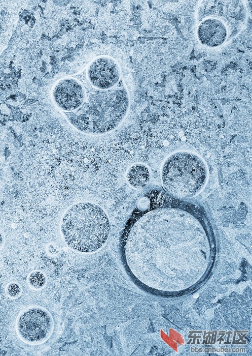 4d480b5fe76fdded66f854d2da95c1a4.jpg