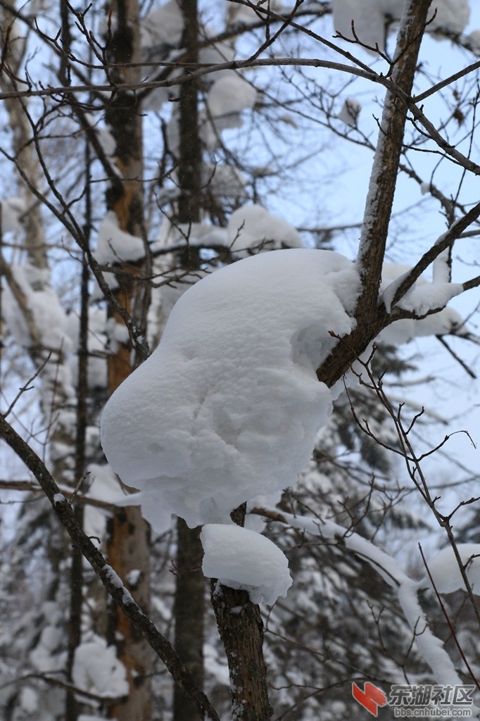 32787683_1024.jpg