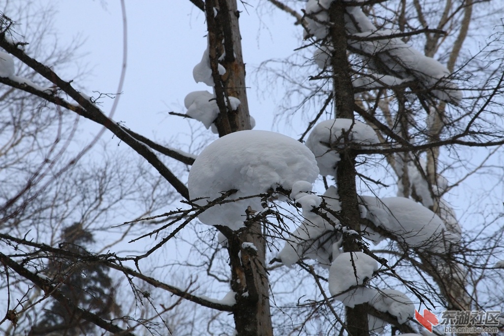 32787685_1024.jpg