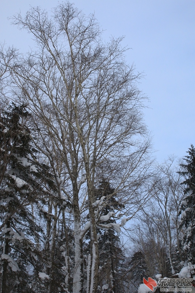 32787612_1024.jpg