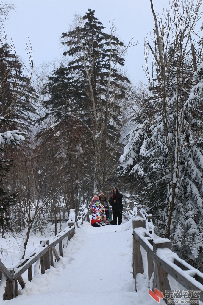 32787617_1024.jpg