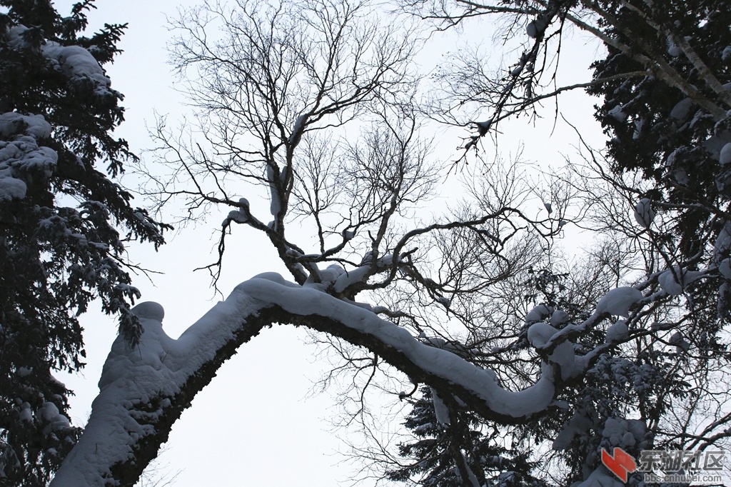 32787622_1024.jpg