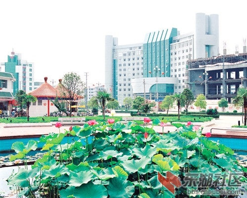 01300000083489120502661821878_副本.jpg