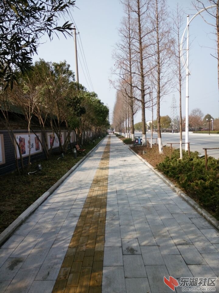 QQ图片20150207092638.jpg