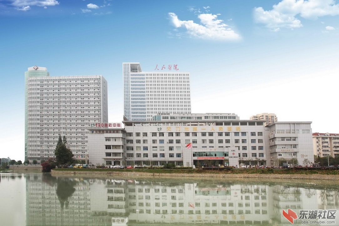 近景.jpg