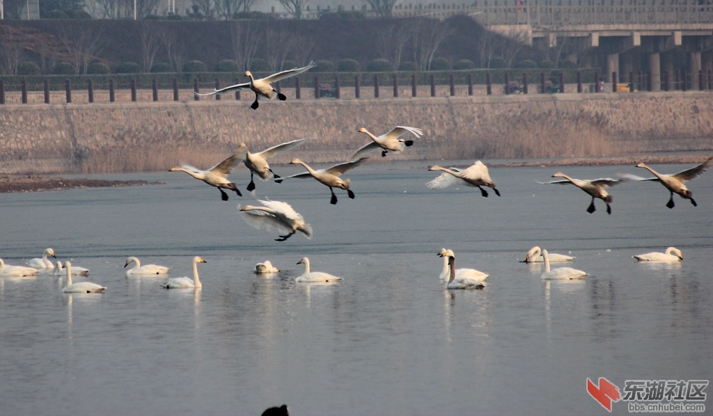 IMG_9088_副本.jpg