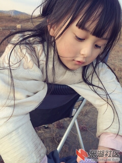 Img7541187_n.jpg