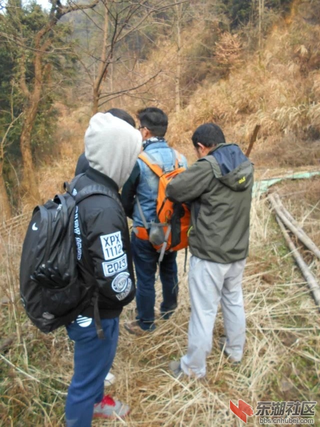 02.jpg