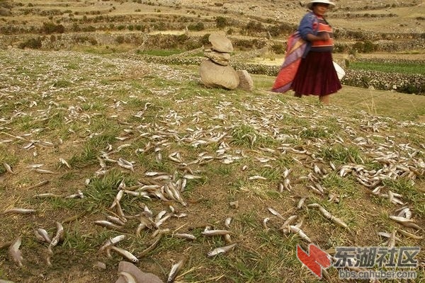 18秘鲁和玻利维亚交界处的的的喀喀湖.jpg