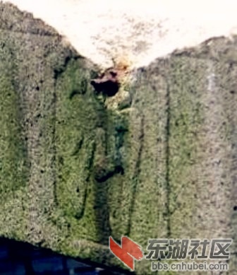 a0ca8335te1505d8849fa&amp;690_副本.jpg