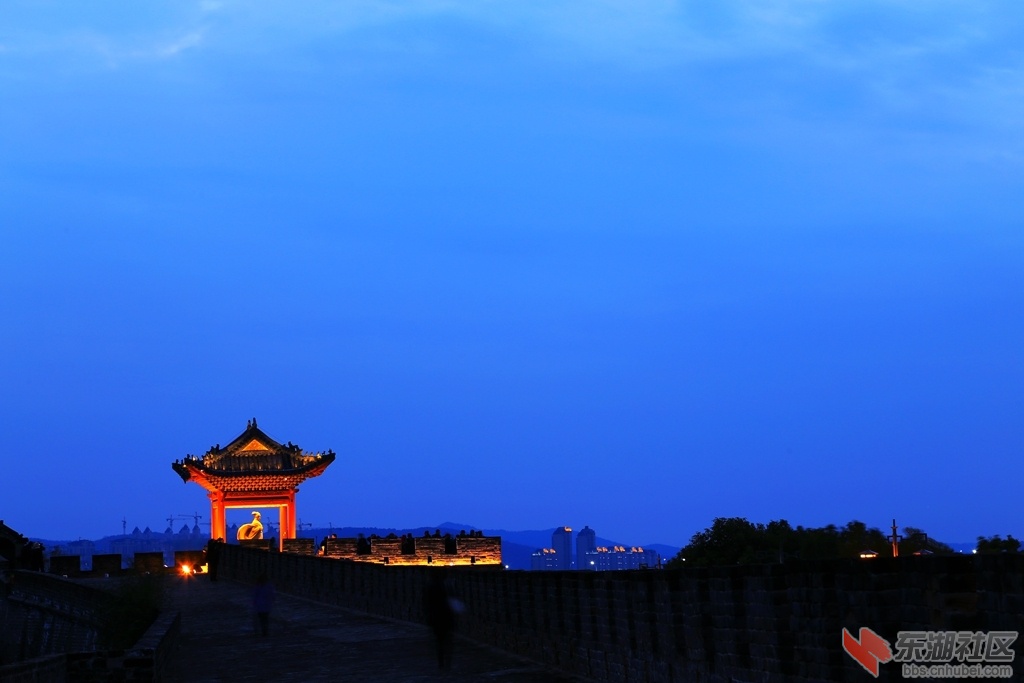 IMG_2594_副本.jpg