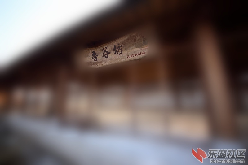 IMG_6365_副本.jpg