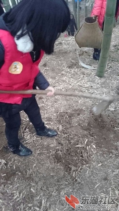 小孩挖笋_副本_副本.jpg