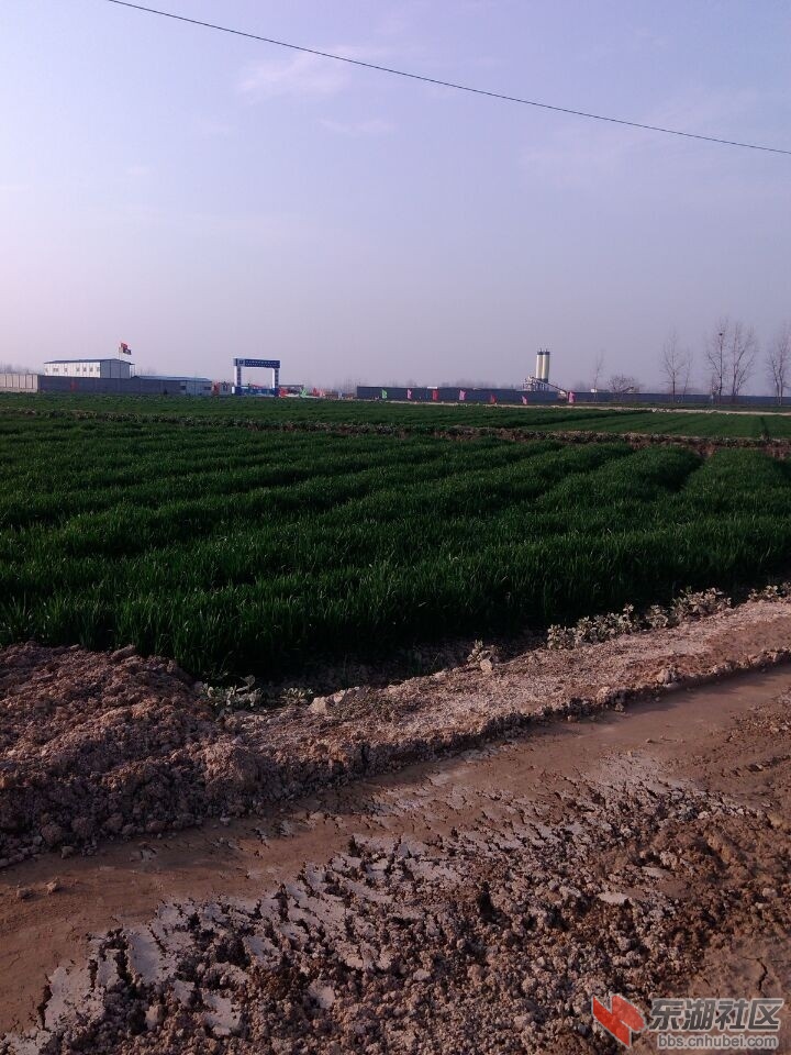 QQ图片20150213103945.jpg
