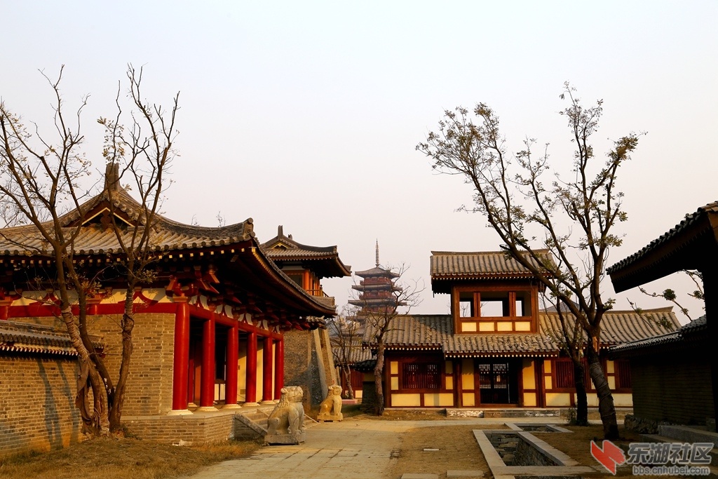 IMG_2818_副本.jpg