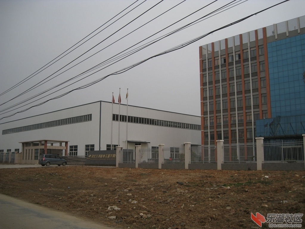 08.jpg