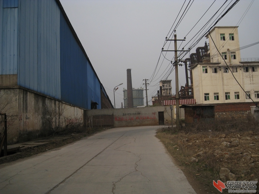 04.jpg