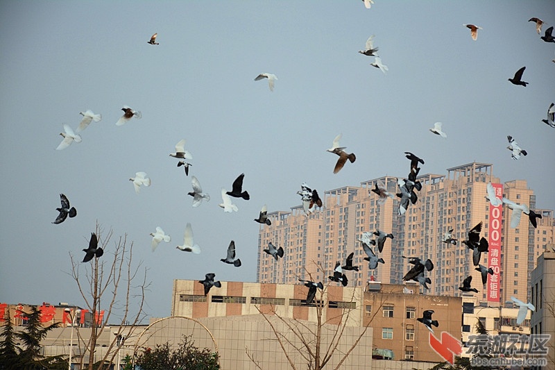 照片 0741.jpg