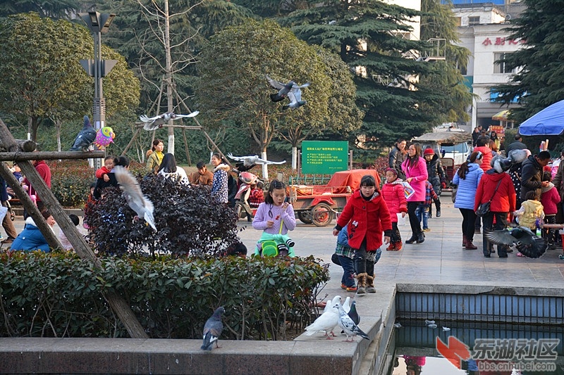 照片 0681.jpg