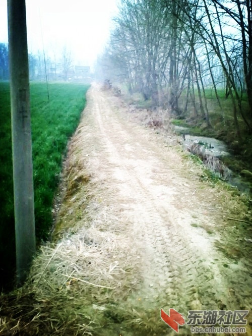 05.jpg