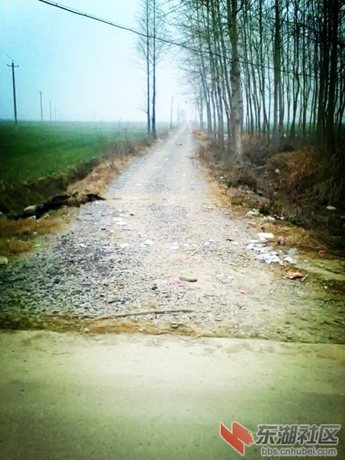 06.jpg
