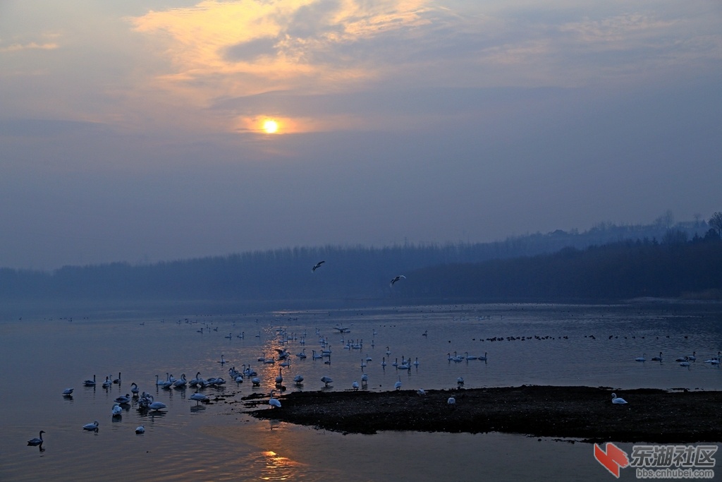 IMG_2877_副本.jpg