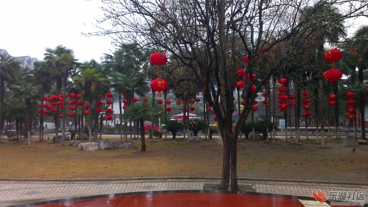 IMAG0285_副本.jpg
