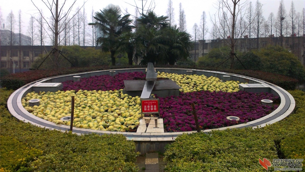 IMAG0332_副本.jpg