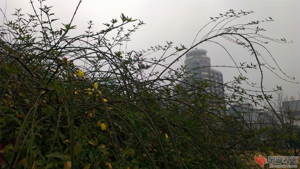 IMAG0344_副本.jpg