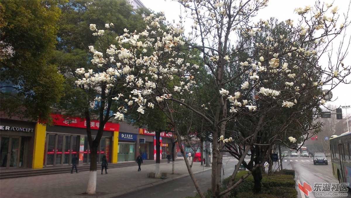 IMAG0377_副本.jpg