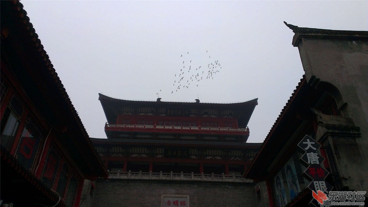 IMAG0465_副本.jpg