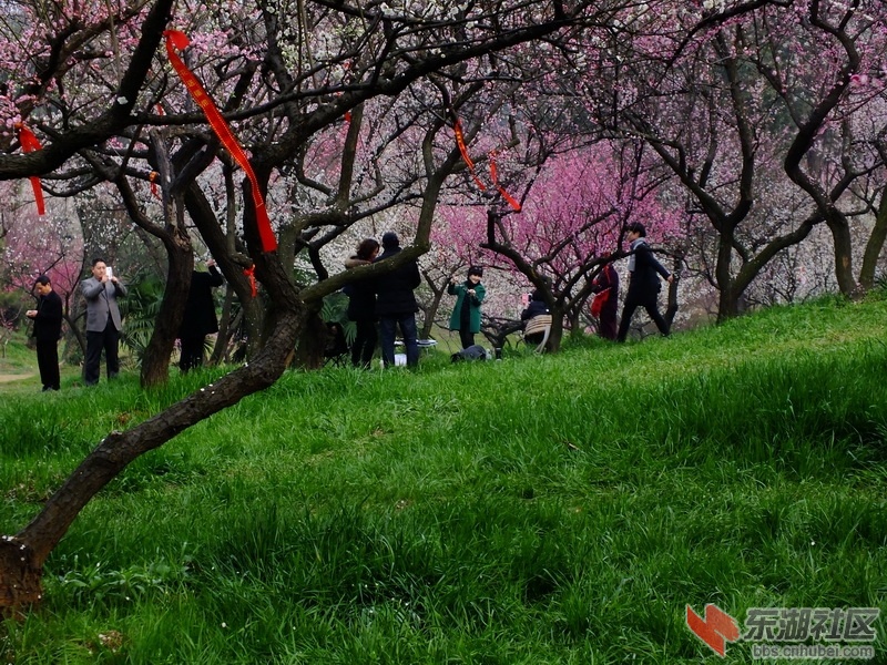 DSCF2170_调整大小.JPG