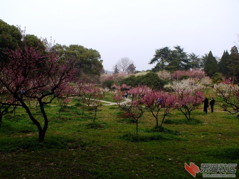 DSCF2179_调整大小.JPG