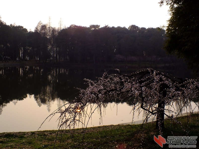 DSCF2194_调整大小.JPG