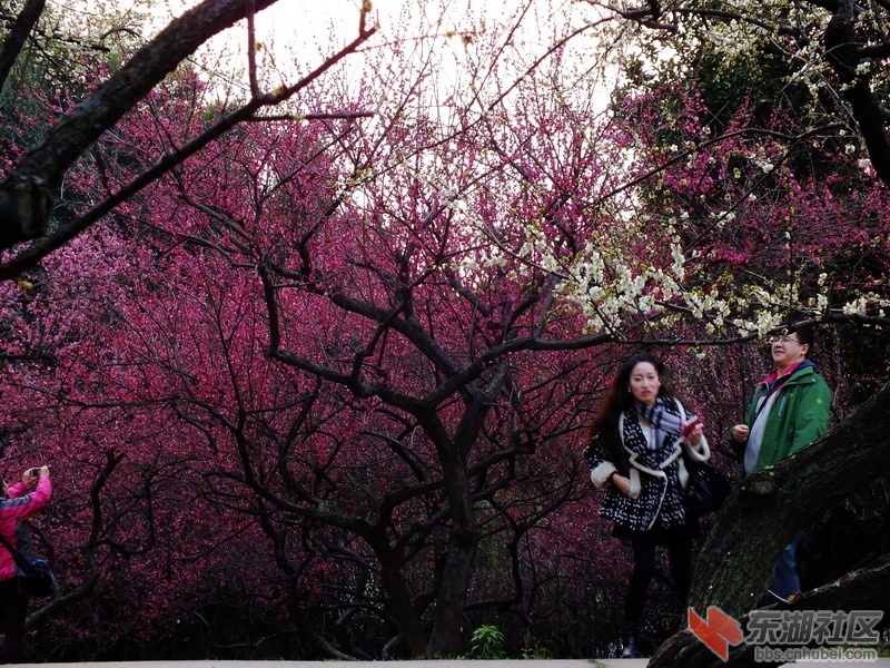 DSCF2289_调整大小.JPG
