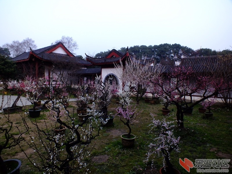 DSCF2312_调整大小.JPG
